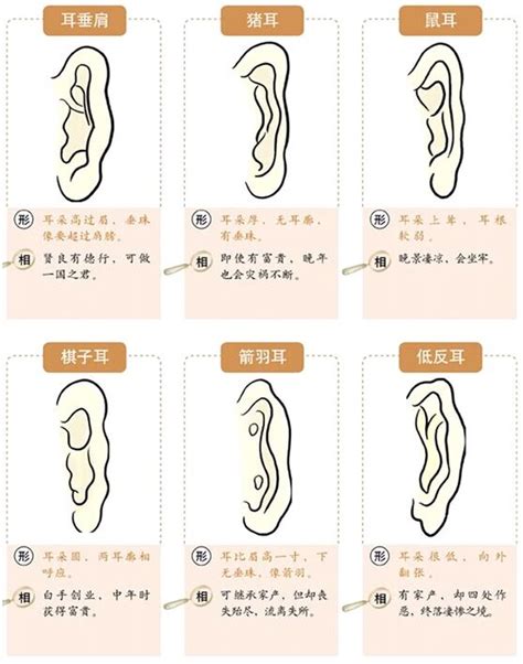 提耳面相|面相耳朵图解【最详细版】 – 杨易德全集官网